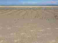 gal/Photographs/Wangerooge 2014/_thb_IMG_0748.JPG